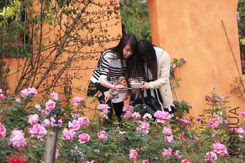 IMG_5674 - ����.jpg