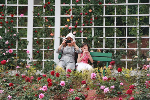 IMG_5656 - ����.jpg