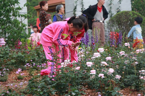 IMG_5954 - ����.jpg