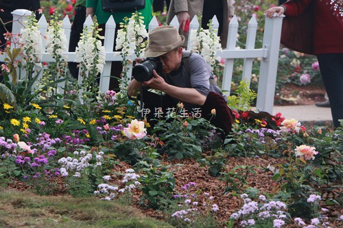 IMG_5830 - ����.jpg