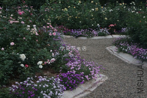 2373 - ����.jpg