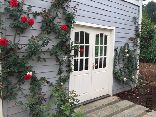 1846 - ����.jpg