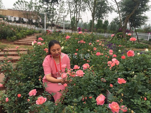 1867 - ����.jpg