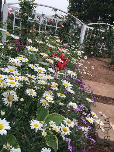 1863 - ����.jpg