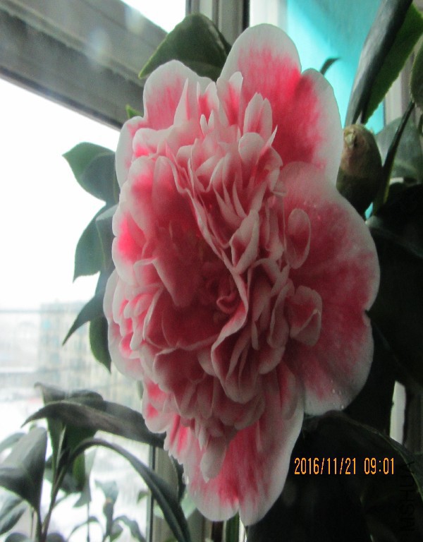 IMG_0022.JPG
