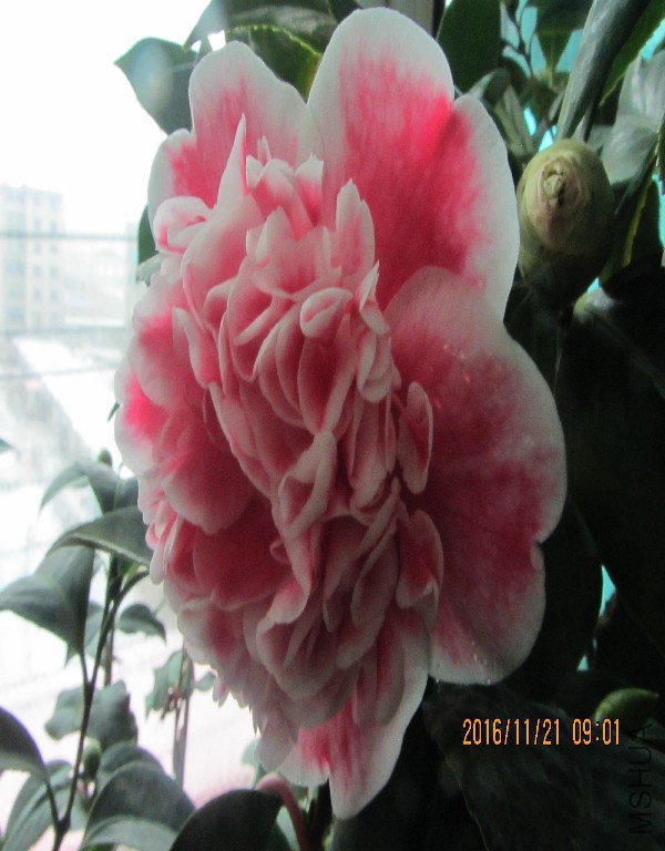 IMG_0023.JPG