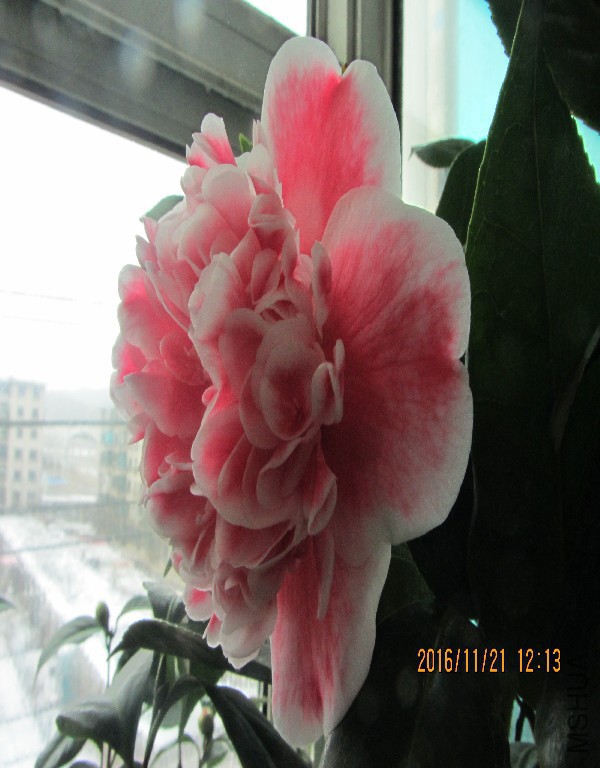 IMG_0045.JPG
