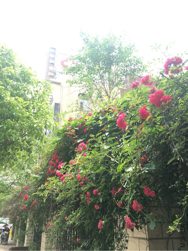 205813x5q9awbw53q8083m.jpg
