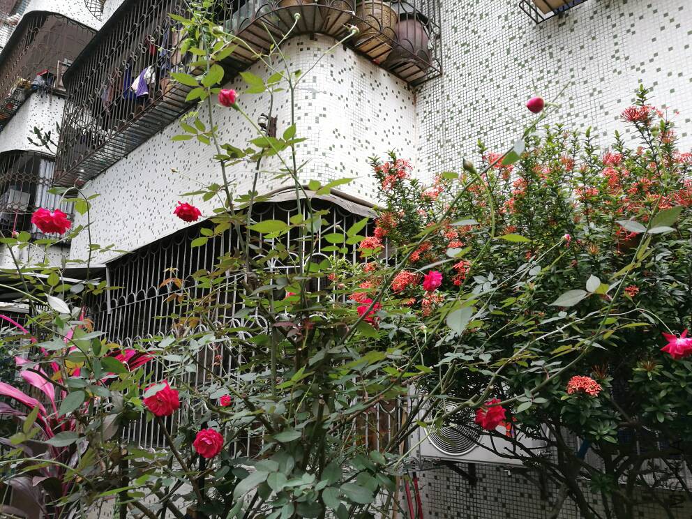 112034hxr3r5mppmrgmth4.jpg