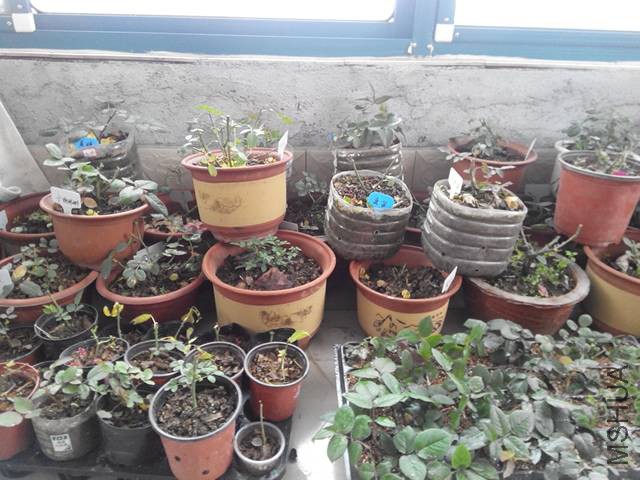 195559kkb8vsk3cyi3j8z3.jpg