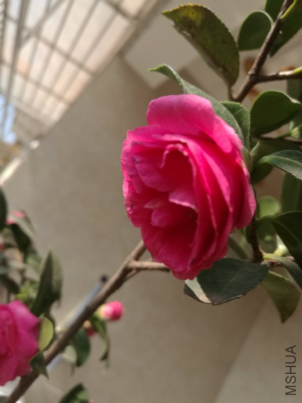 IMG_20161128_115815.jpg