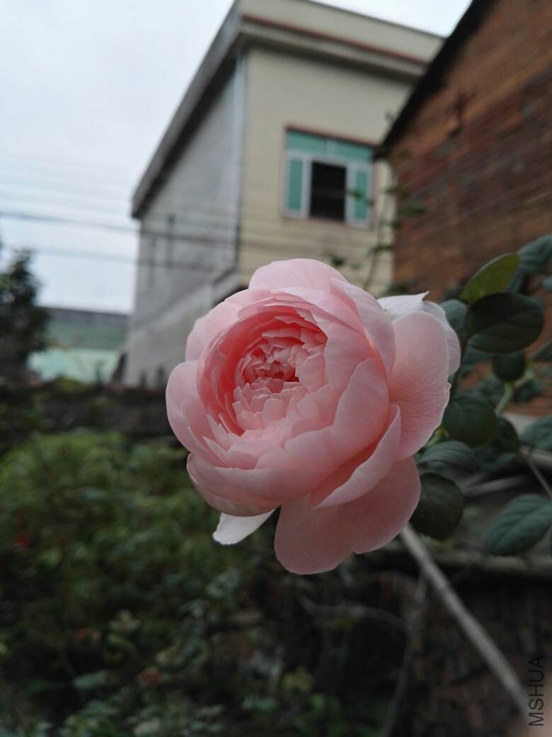 123603aq08xtfenbwntent.jpg