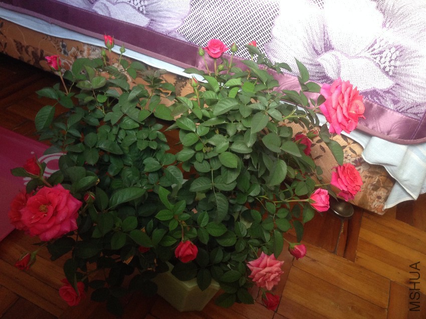 10��ʱ��������