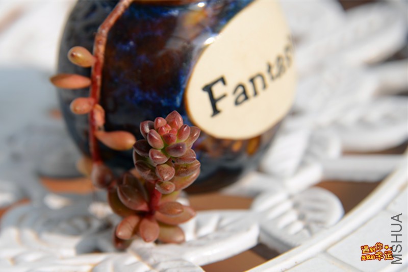 ��Ƭ 067_����.jpg