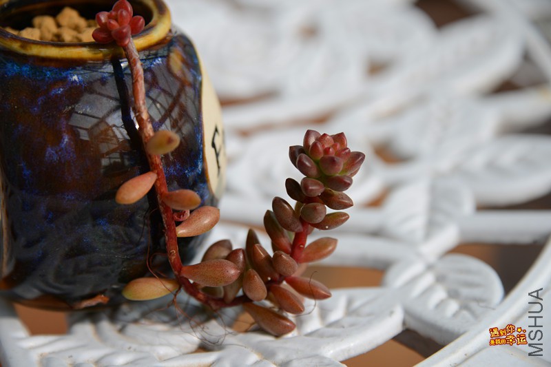 ��Ƭ 069_����.jpg