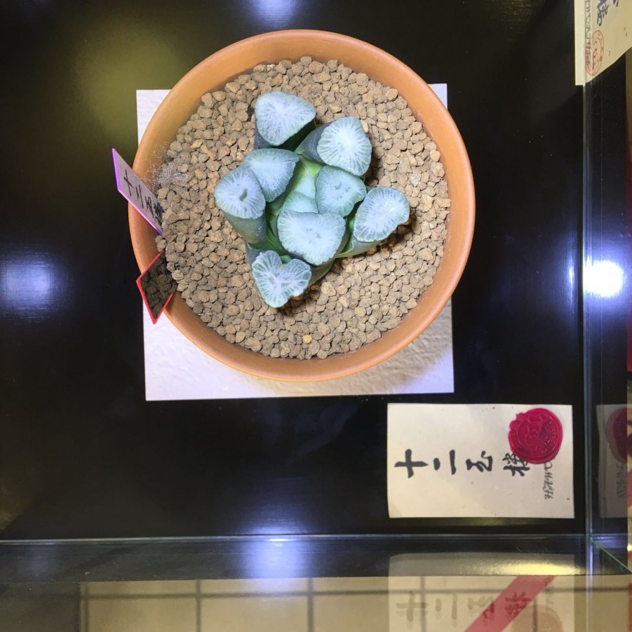 100������