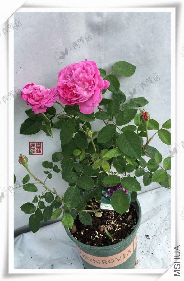 F08�������ʺ� 1����.jpg