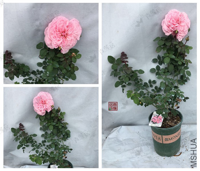 A309���� 1����.jpg