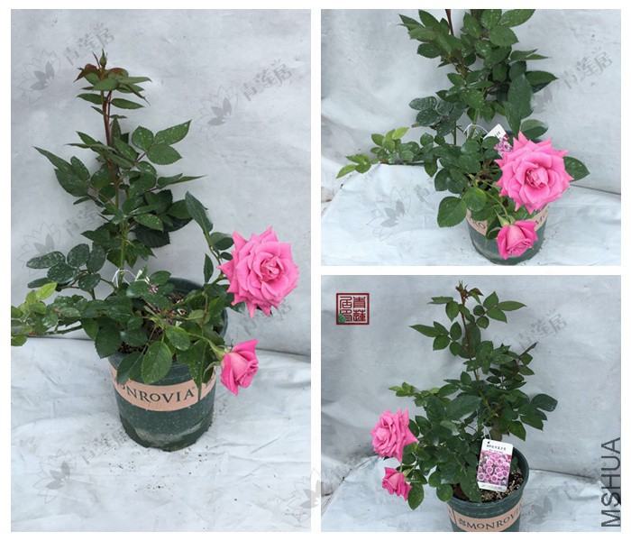 G09���������� 1����.jpg