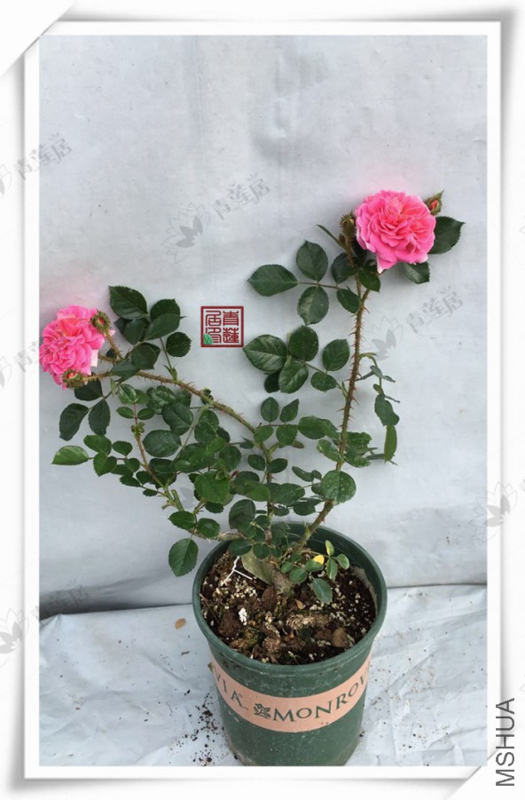 220���� 1����.jpg