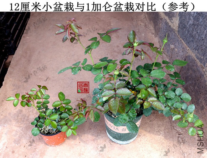 1���� ����ο� 2.jpg