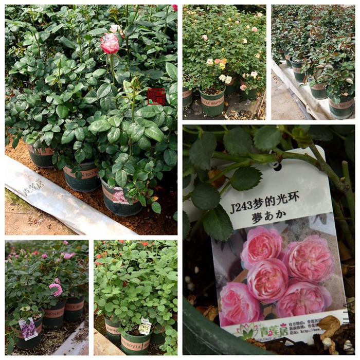 1���� ����ο�.jpg