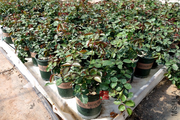 1��������ο� 3.jpg