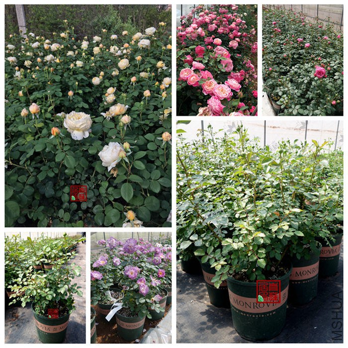 2��������ο� 1.jpg