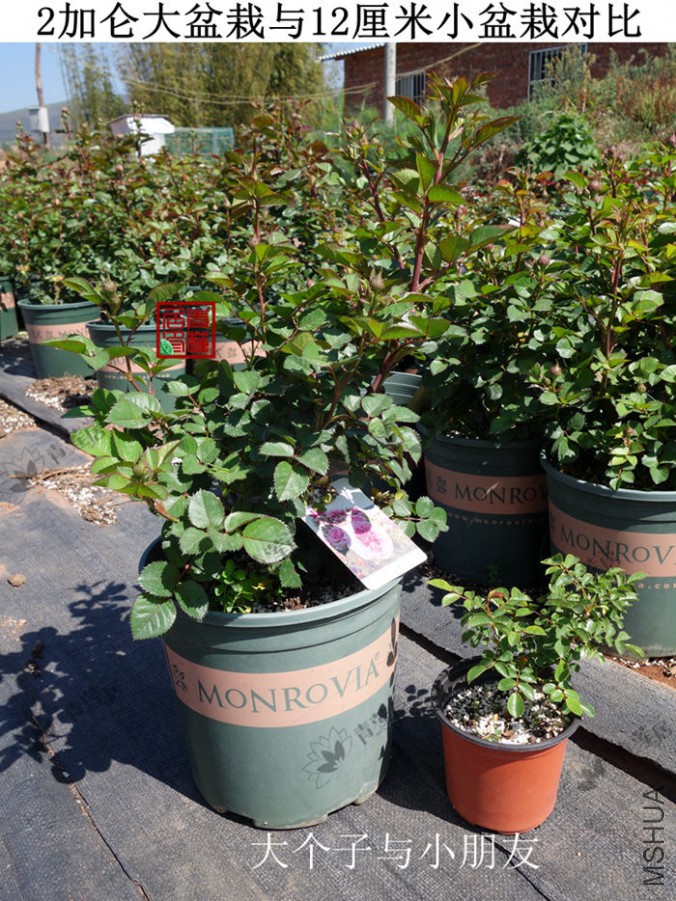 2���� ����ο�2.jpg