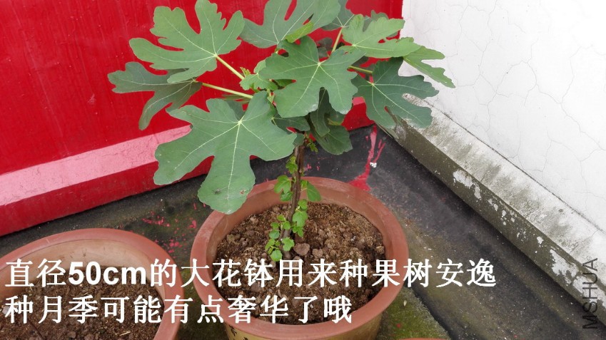 03-�޻���.jpg