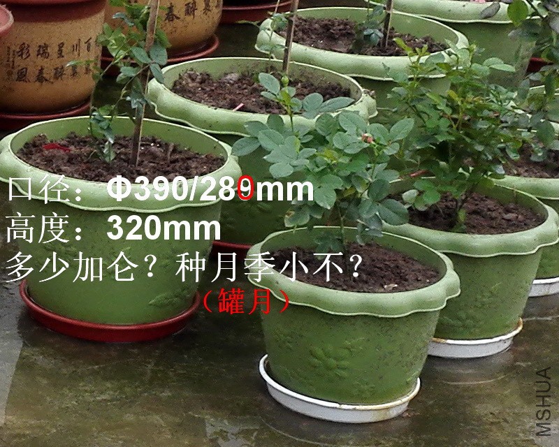 01-С����.jpg