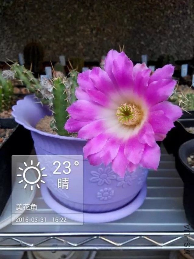 2016��03��31��.jpg