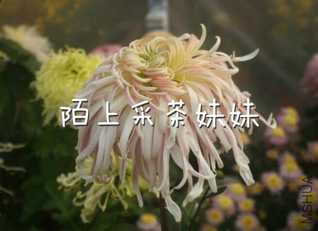 ��诰��� (1)_meitu_4.jpg