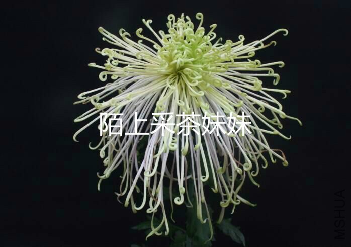 ����ӳ�� (1)_meitu_2.jpg