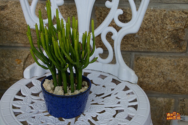 ��Ƭ 088_����.jpg