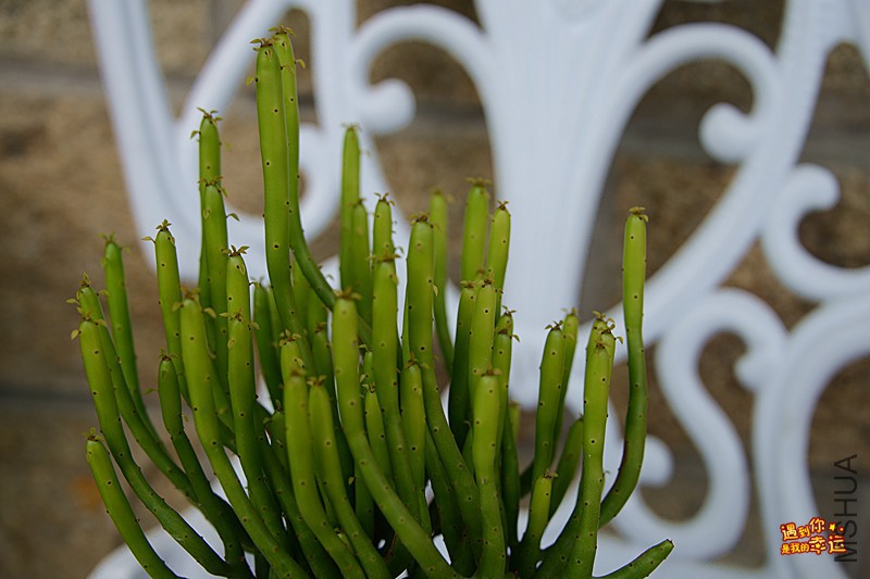 ��Ƭ 090_����.jpg