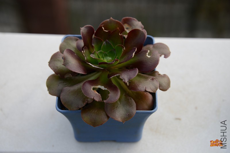 ��Ƭ 110_����.jpg