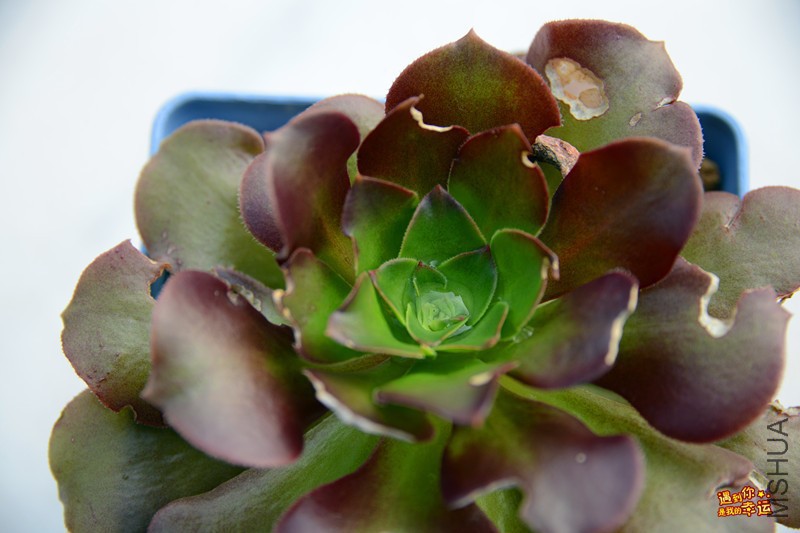 ��Ƭ 111_����.jpg