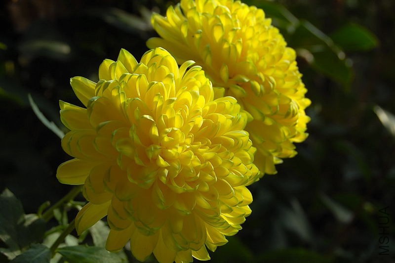 DSC_61410159.JPG