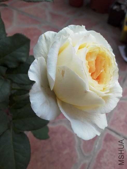 ͼƬ05.jpg
