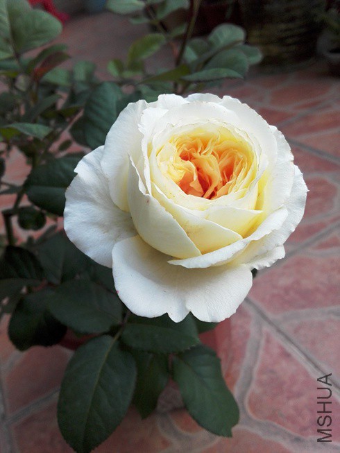 ͼƬ06.jpg