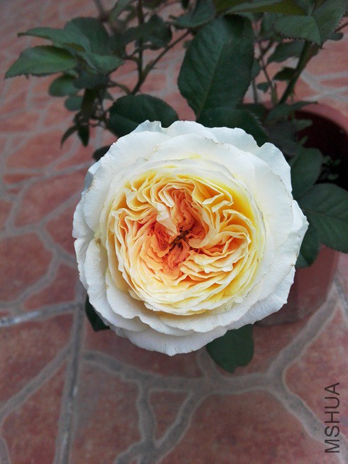 ͼƬ07.jpg