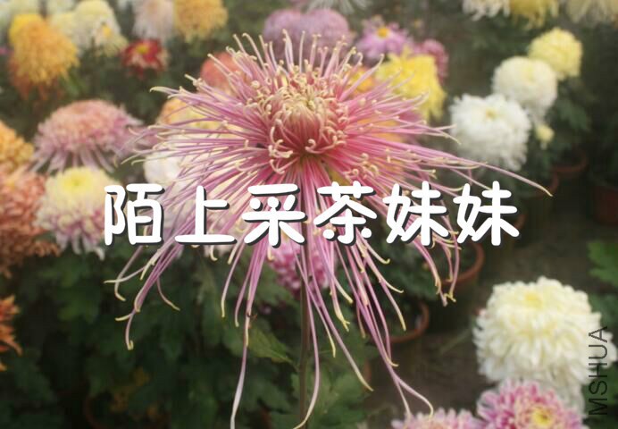 �������� (1)_meitu_12.jpg