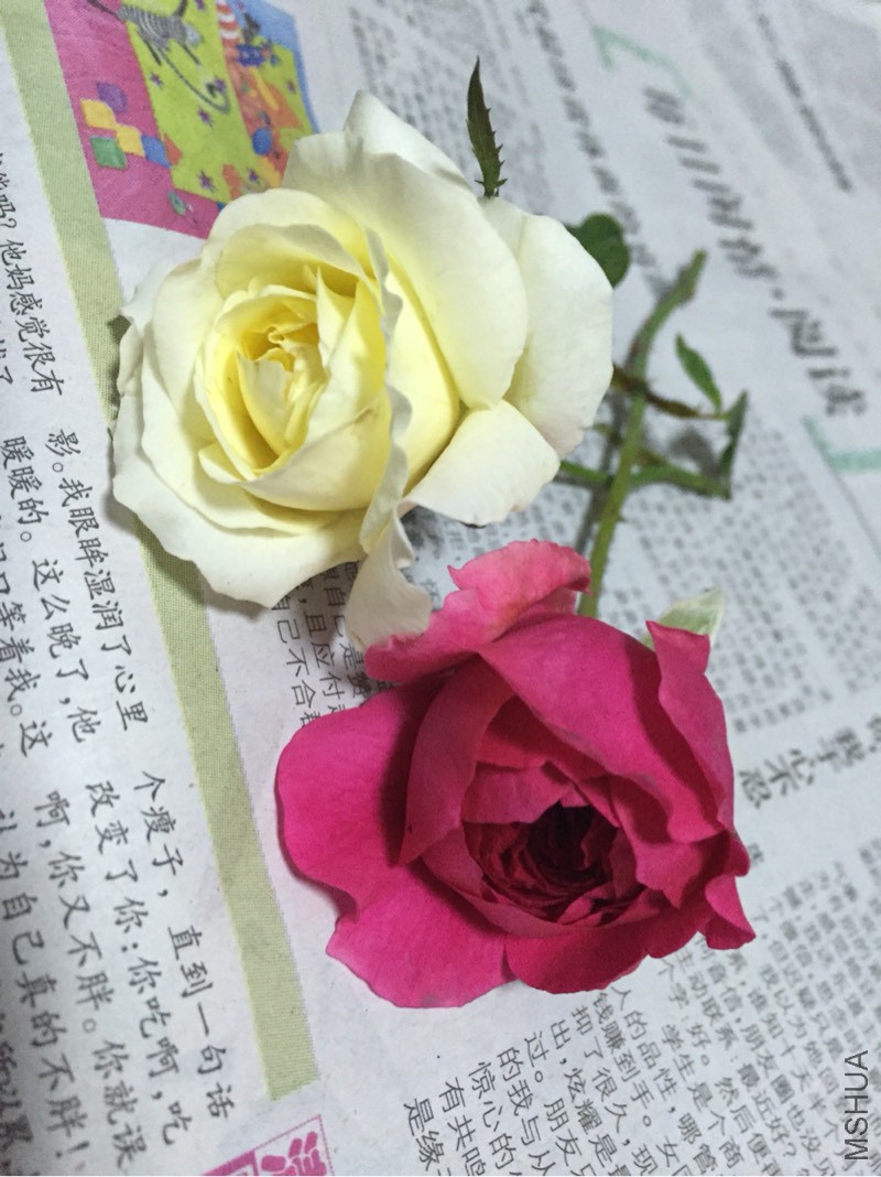 134559kvcif3s9a33of336.jpg