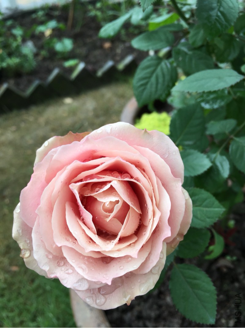 185902hctdjedegbpgp4xs.jpg