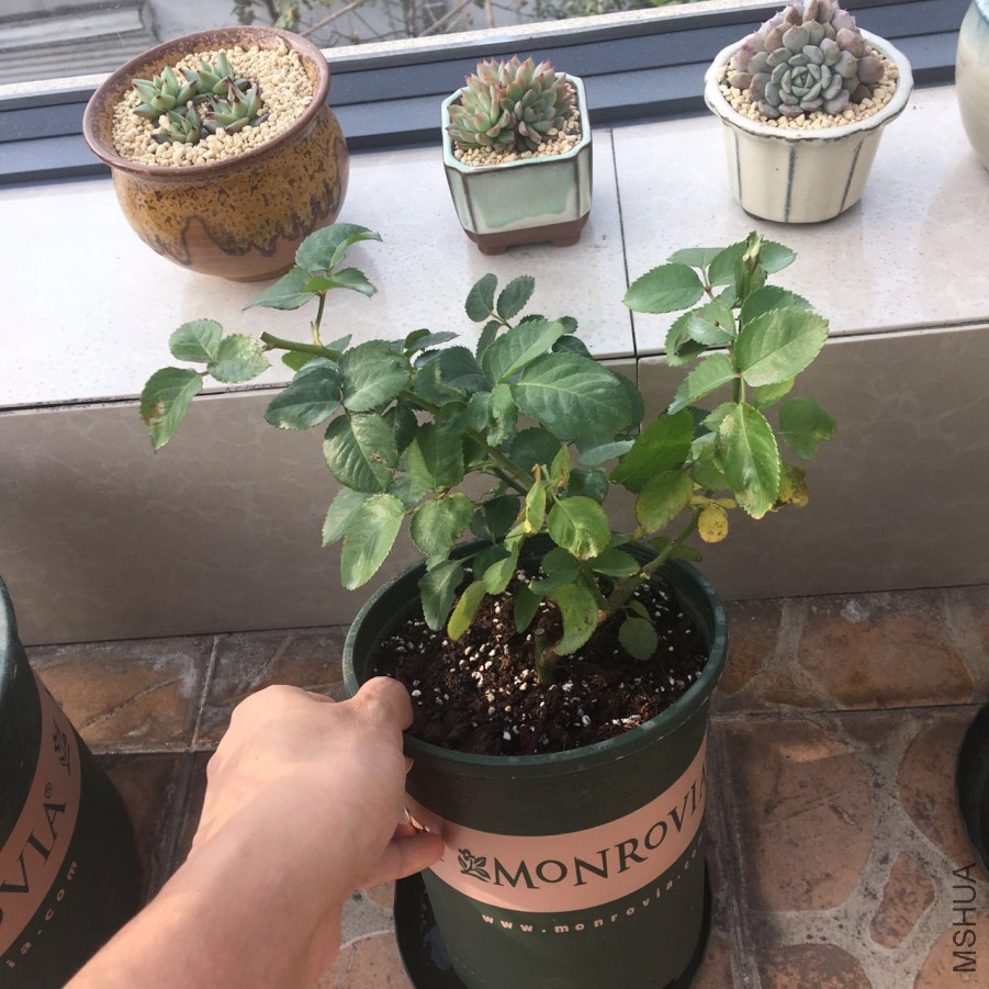 �϶��㣬����ʱ�������仨���Ҽ���