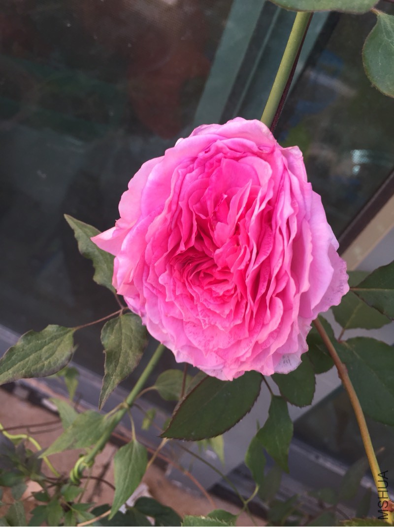 130630a44zunywfrga9c7m.jpg