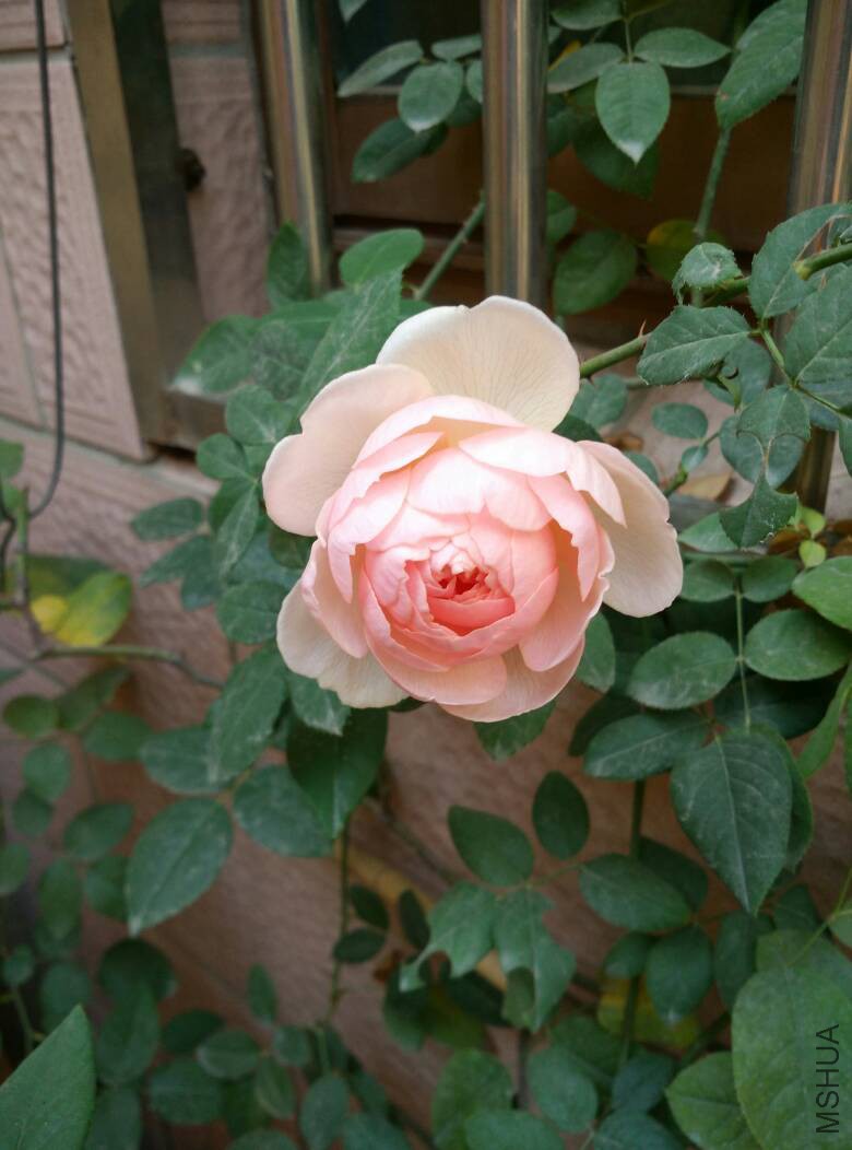 141927rthq5j3ndhjfdp5d.jpg