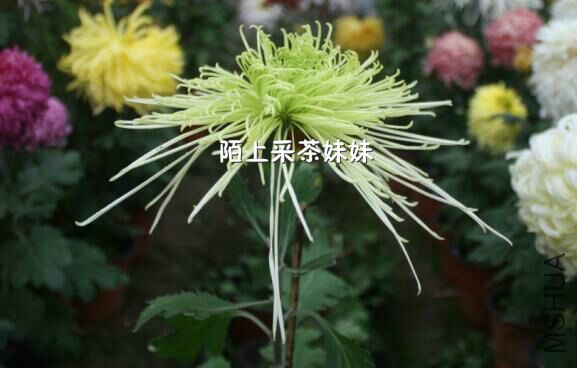 ���˷��� (1)_meitu_14.jpg