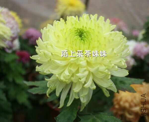 ��ĵ�� (1)_meitu_29.jpg